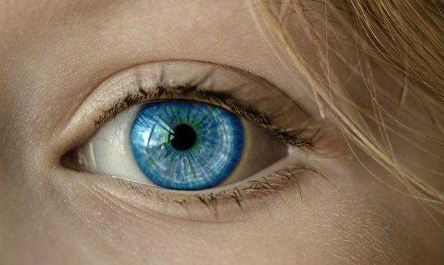 L’œil humain est-il similaire à une caméra ?