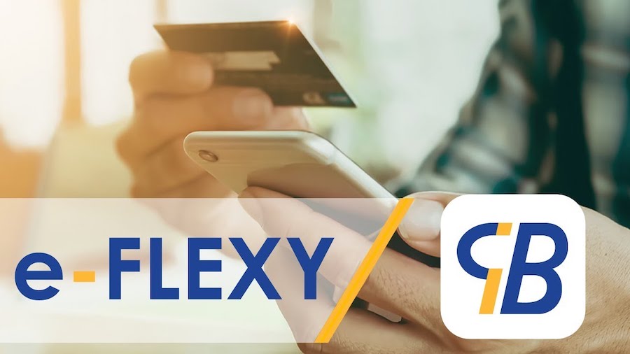 E Flexy Djezzy : C’est quoi ?