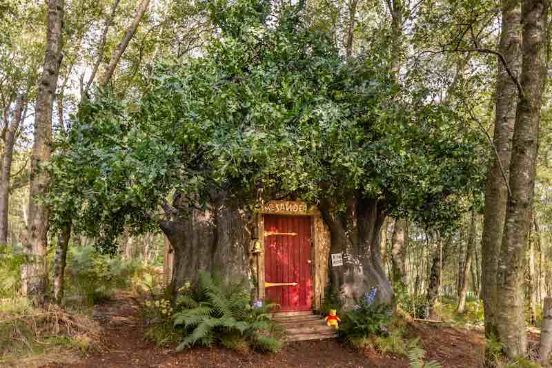 La cabane de Winnie l’ourson est maintenant proposée à la location sur Airbnb, par Disney
